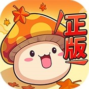 无限试飞