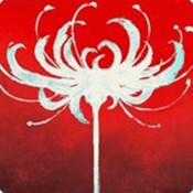 无敌冒险王兑换码在哪里兑换(无敌冒险王手游攻略)