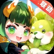 梦幻婚礼策划师